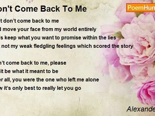 Alexander Foald - Don't Come Back To Me