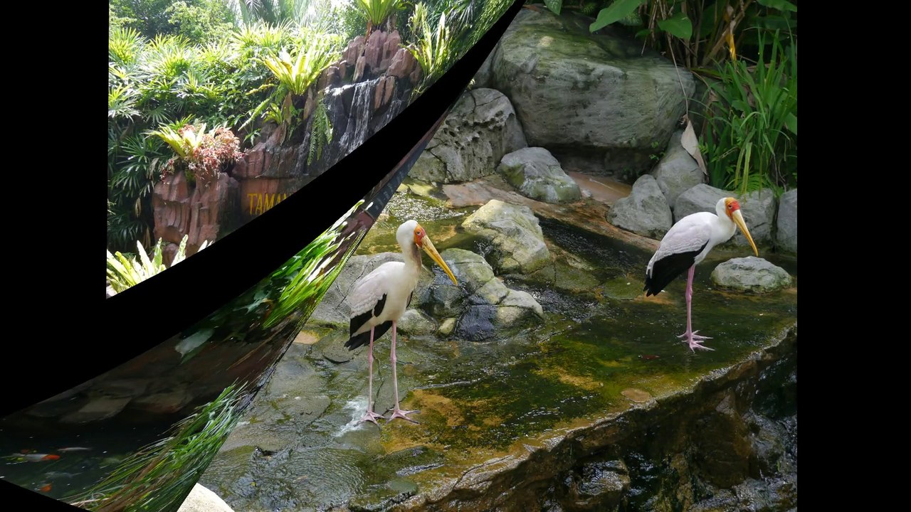 Montage - Mélo & Jérémie - Episode 1 - Kuala Lumpur