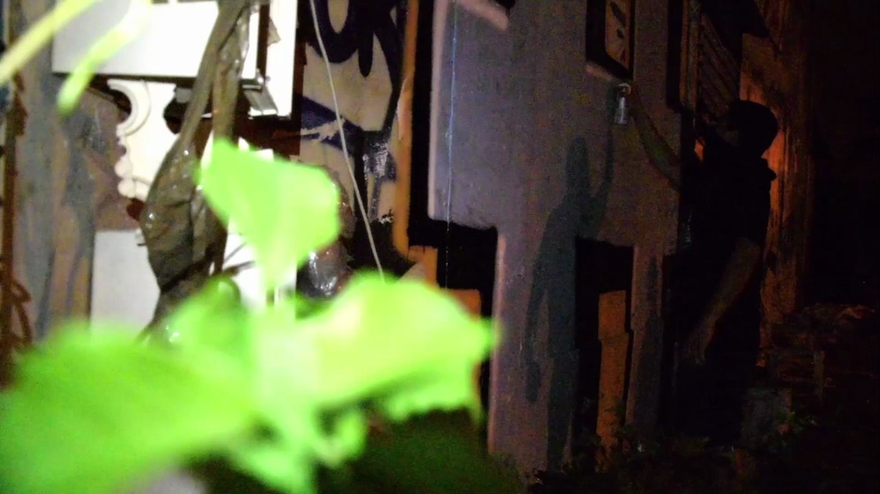 VANDAL