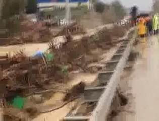 Sakarya D-100 karayolu sel