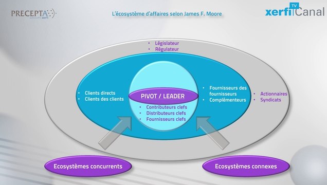 Aurélien Duthoit, Xerfi Canal Concurrence et stratégies dans les écosystèmes d'affaires