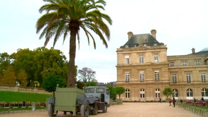 [Jardin du Luxembourg] Retour des palmiers dans l'Orangerie