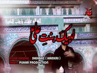 LABBAIKA BINT.E.ALI (a,s) New TITLE NOHA BY SHEHBAZ (HAIDERI)