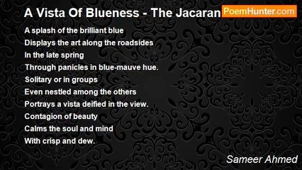 Sameer Ahmed - A Vista Of Blueness - The Jacaranda tree