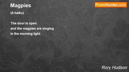 Rory Hudson - Magpies