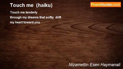 Nizamettin Esen Haymanali - Touch me  (haiku)