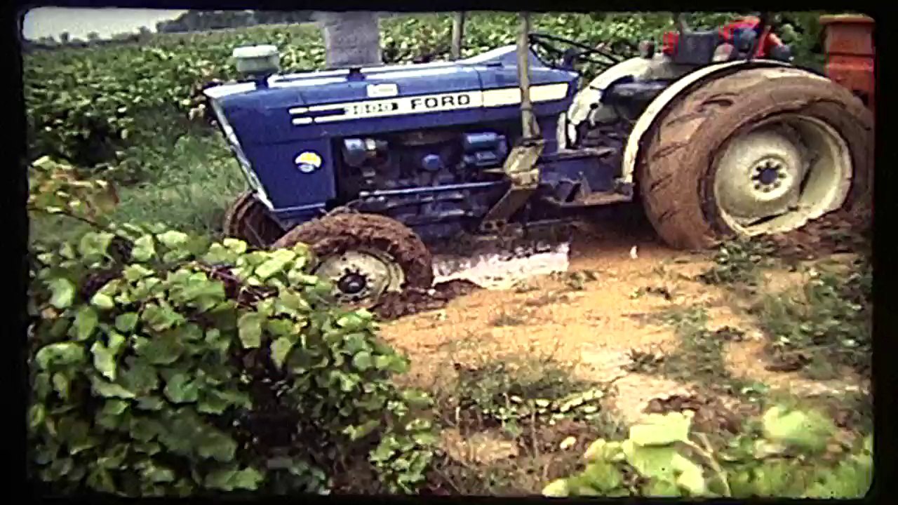 1987 - Bessan - Vendanges dans L'eau