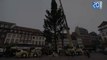 Le grand sapin de Noël de Strasbourg est arrivé
