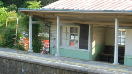 Deserted Japanese Train Station!