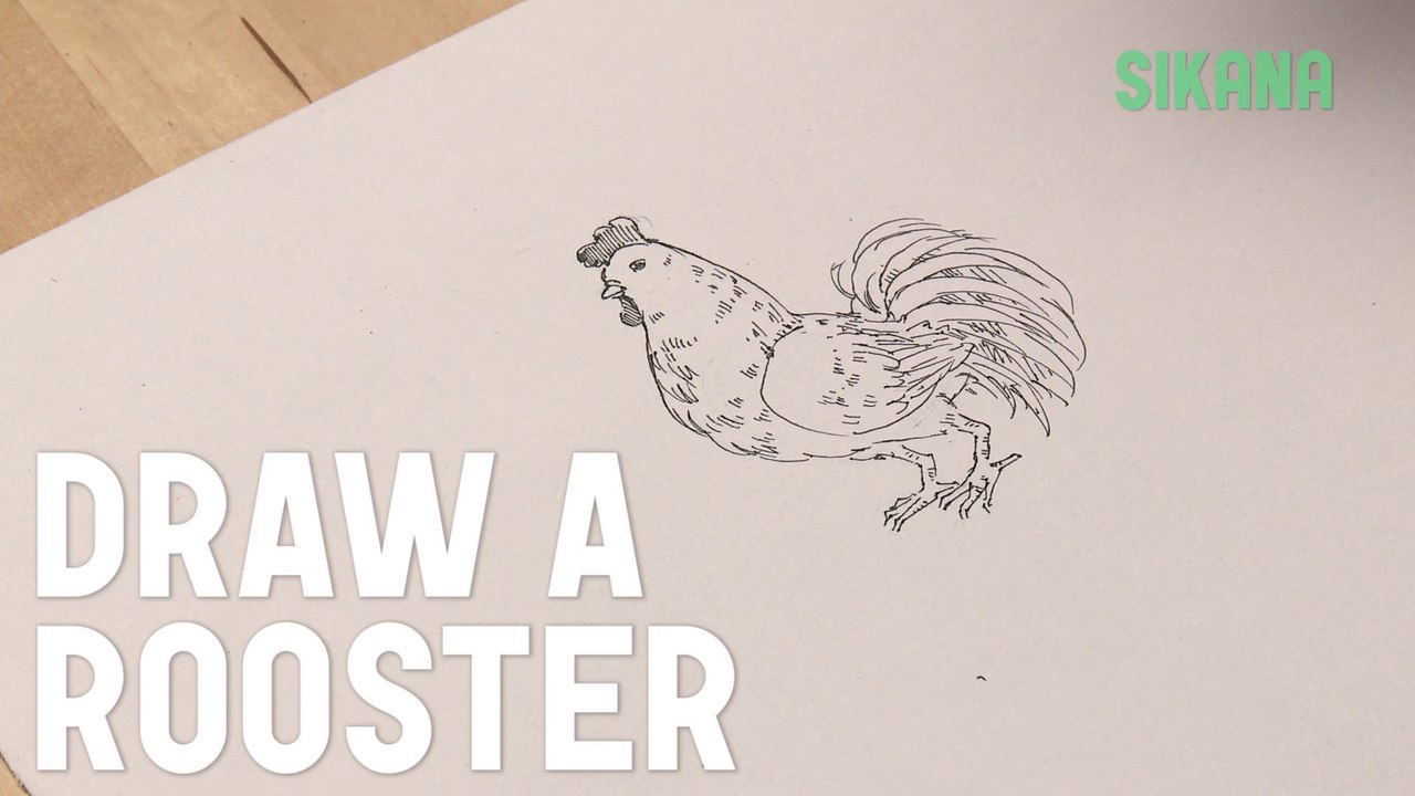 How to Draw a Rooster