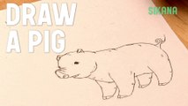 How to Draw a Pig