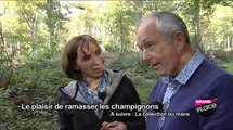 Champignons : c'est la saison !