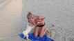 Un chien s'acharne sur le bikini d'une jolie blonde
