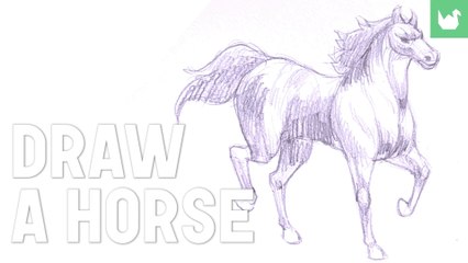 How to Draw a Horse