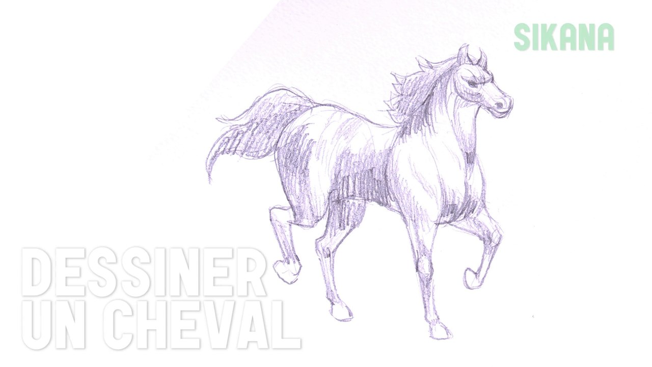 Dessin : Dessiner un cheval (techniques de bases) - HD