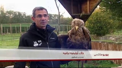 طائرة رفيقة بالبيئة | يوروماكس