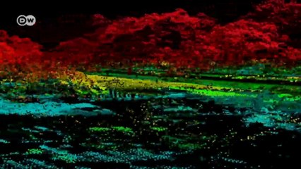 Democratic Republic of the Congo - Forest Surveyor | Global 3000