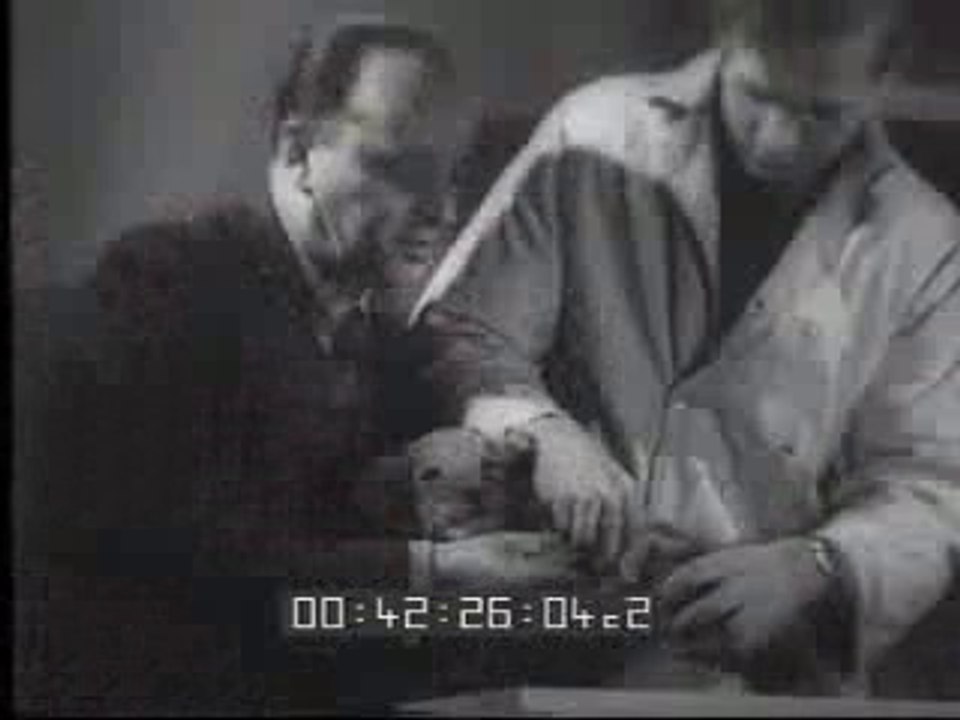 CAPRETTA ALLATTA DUE LEONCINI