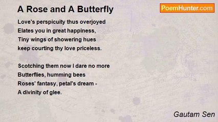 Gautam Sen - A Rose and A Butterfly