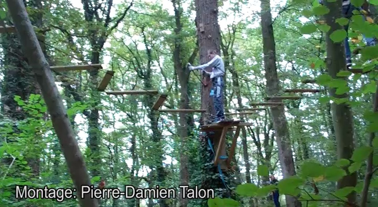 Sortie Accrobranche 11-15 ans