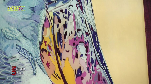 Alain ANGE : SAFARI à la Maison de l'Agglomération de la Mosson