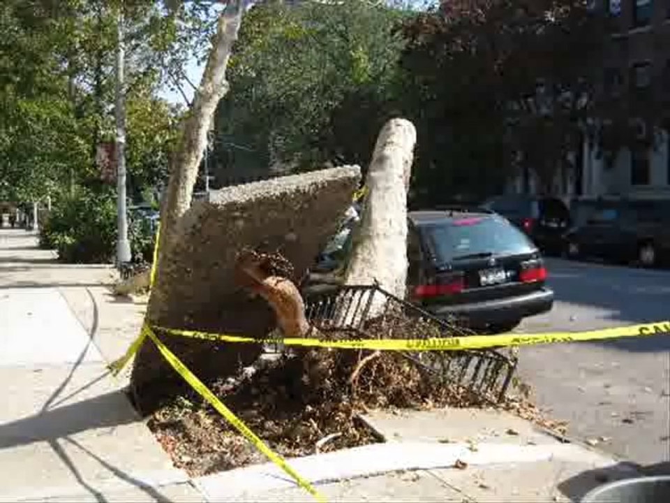 Crimson & Clover (cover song) by Billy J Bryan & The Ax Grinders / video by Robert Segarra