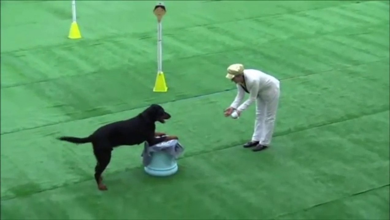 GPF Obérythmée 2014 : Monique et Gus