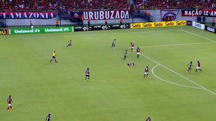 Brasil - Wallyson marca un golazo en el Botafogo-Flamengo