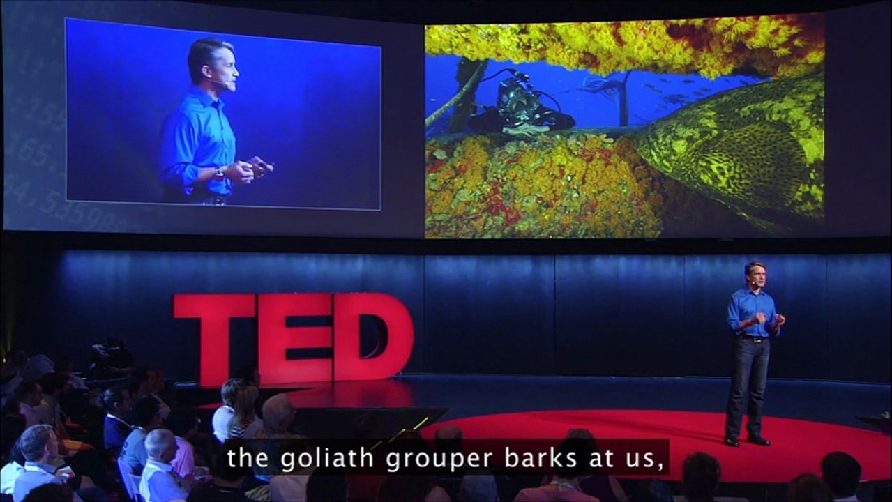 Fabien Cousteau 2014 TED