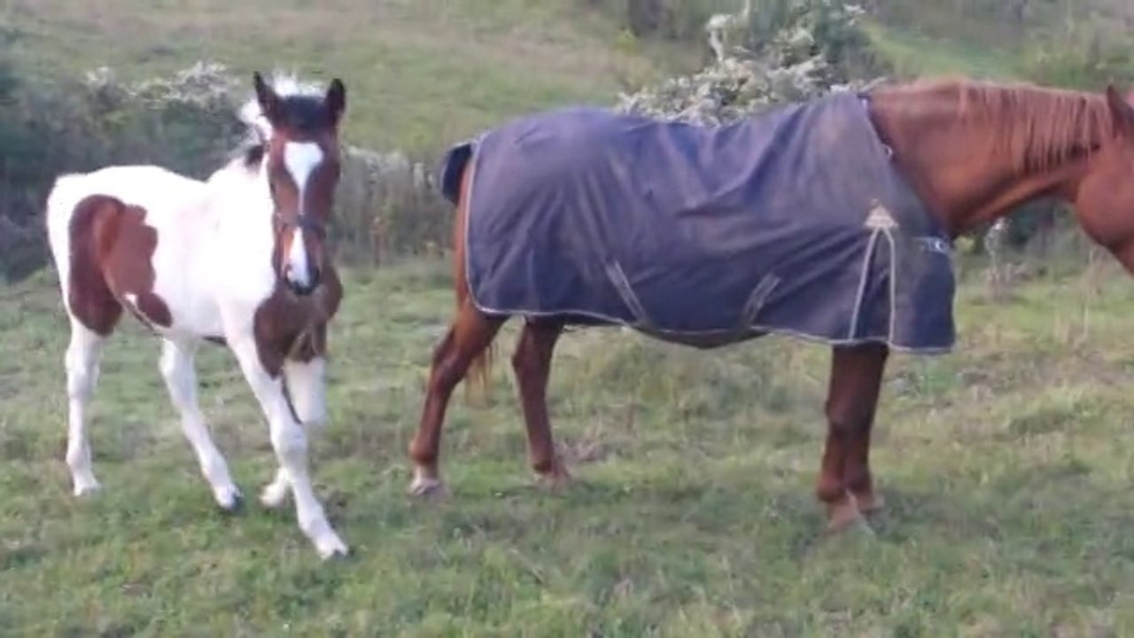 ELKI le 27 octobre 2014