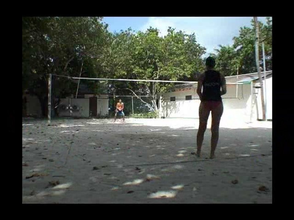 Le Volley-Ball