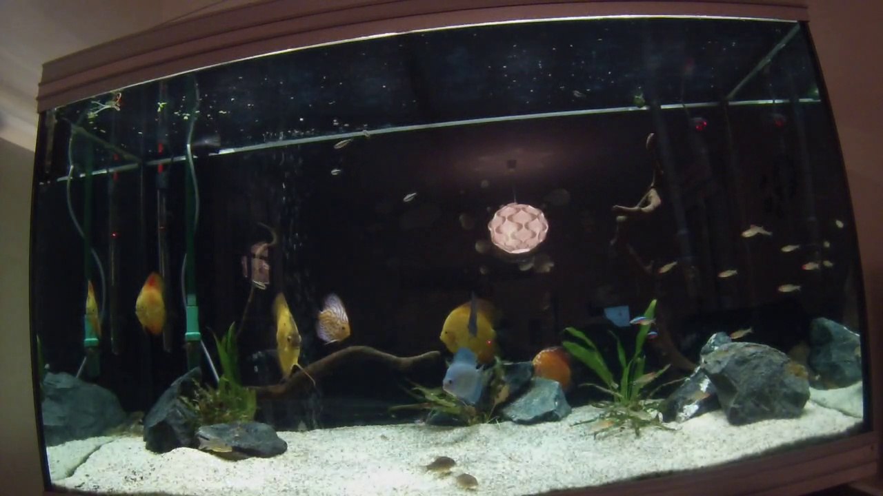 Lever/coucher du soleil Aqua