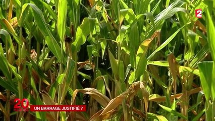 Barrage de Sivens : un rapport d'expertise très attendu