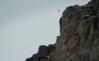 Un bébé oiseau saute dans le vide à 121 mètres de haut