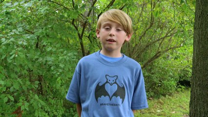 Batman v Superman- Dawn of Justice - Help Save the Bats