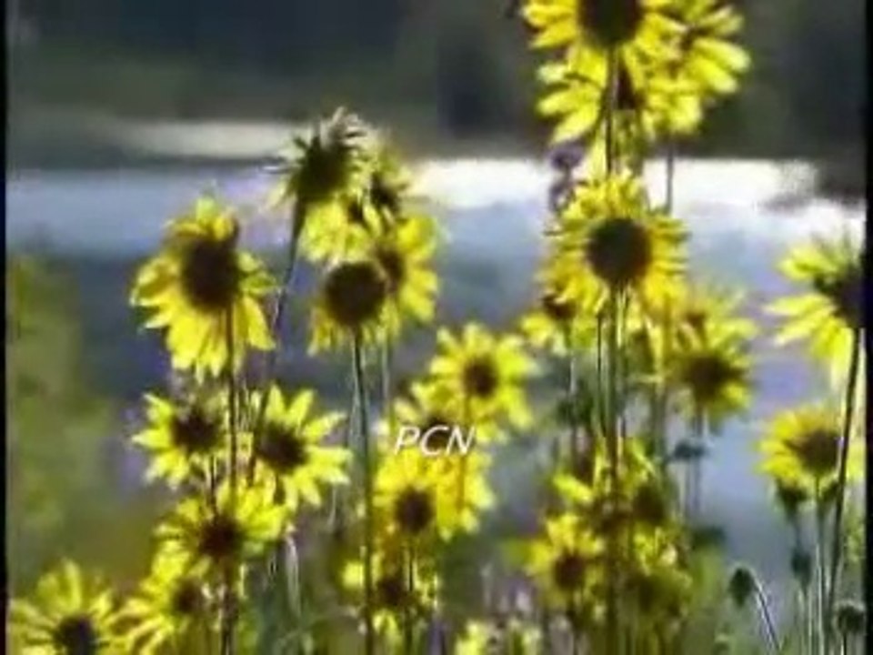 Main yasu Kay Noor (Nagana) Masihi Hindi Urdu Geet