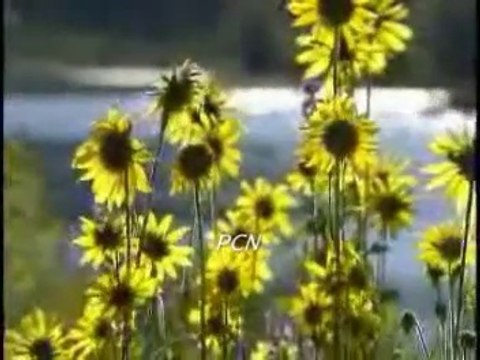 Main yasu Kay Noor (Nagana) Masihi Hindi Urdu Geet