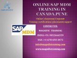 Online Sap Mdm training in canada,pune
