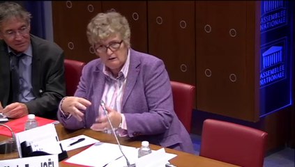 Pr Marie-Ève Joël, pdte du conseil scientifique de la CNSA - Lundi 27 Octobre 2014