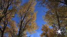 上江洲--帶你回極樂成佛的家 真理1 實相世界就在我的內在(文字檔語音朗讀)