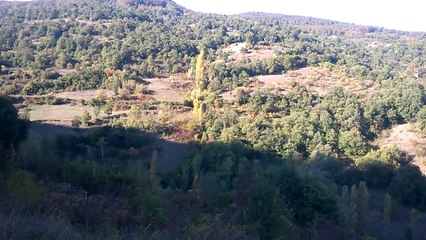 Çaycuma Taşçılı Köyü'nden Dağ ve Köy Manzarası