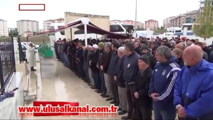 Alman kurtları dehşet saçtı