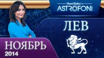 ЛЕВ, Астрологический прогноз на месяц,  НОЯБРЬ 2014