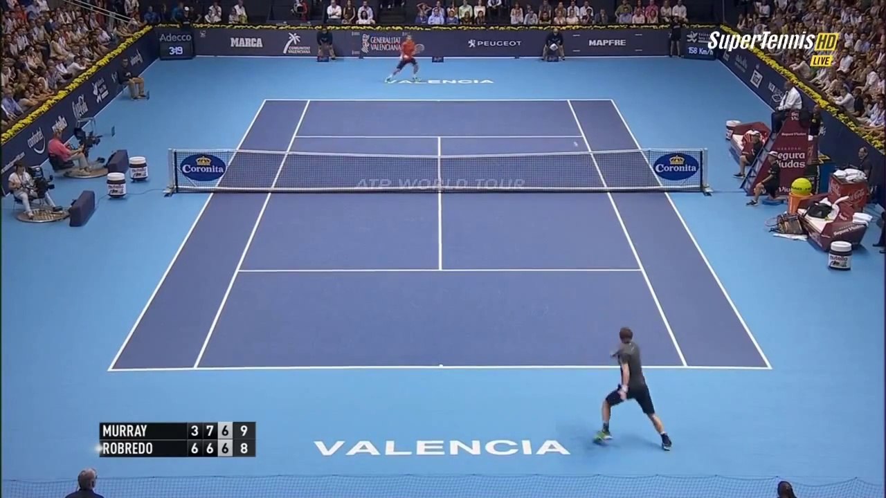 Robredo doigt d'honneur contre Murray