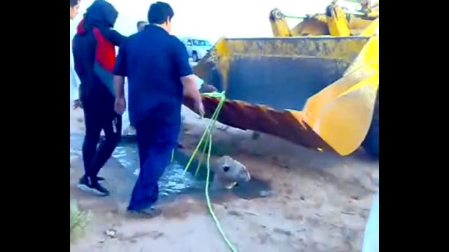 Best funny vine videos stupid rescue Compilation 2013 FUNNY VIDEOS ACCIDENTS jjust funny laughs_youtube_original