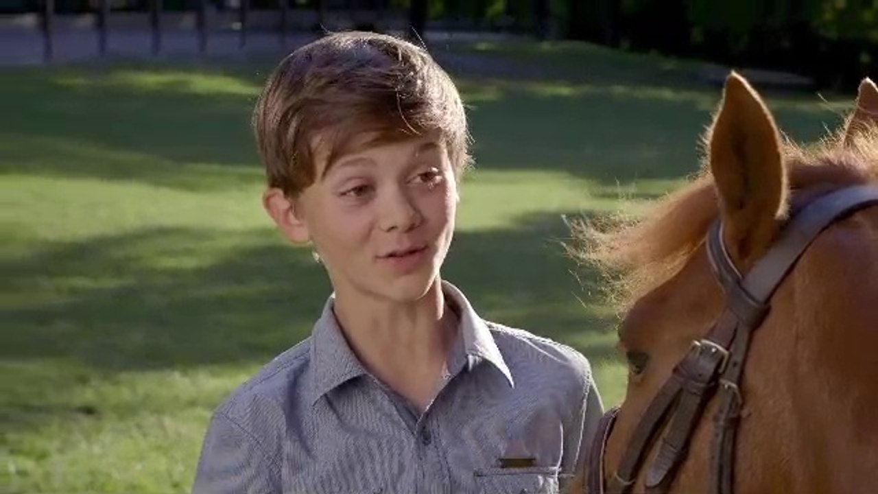 Clip 2015 - Journée du Cheval