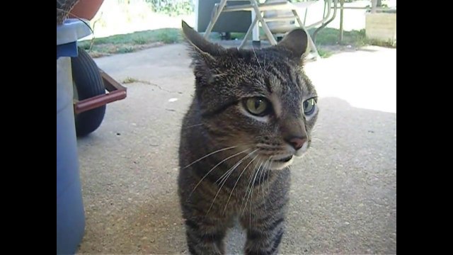 Funny Accident 2013 for FAIL Compilation 2013 [HD+] [18+] ЛУЧШИЕ ПРИКОЛЫ 2013 FUNNY ACCIDENTS VIDEOS_youtube_original(2)