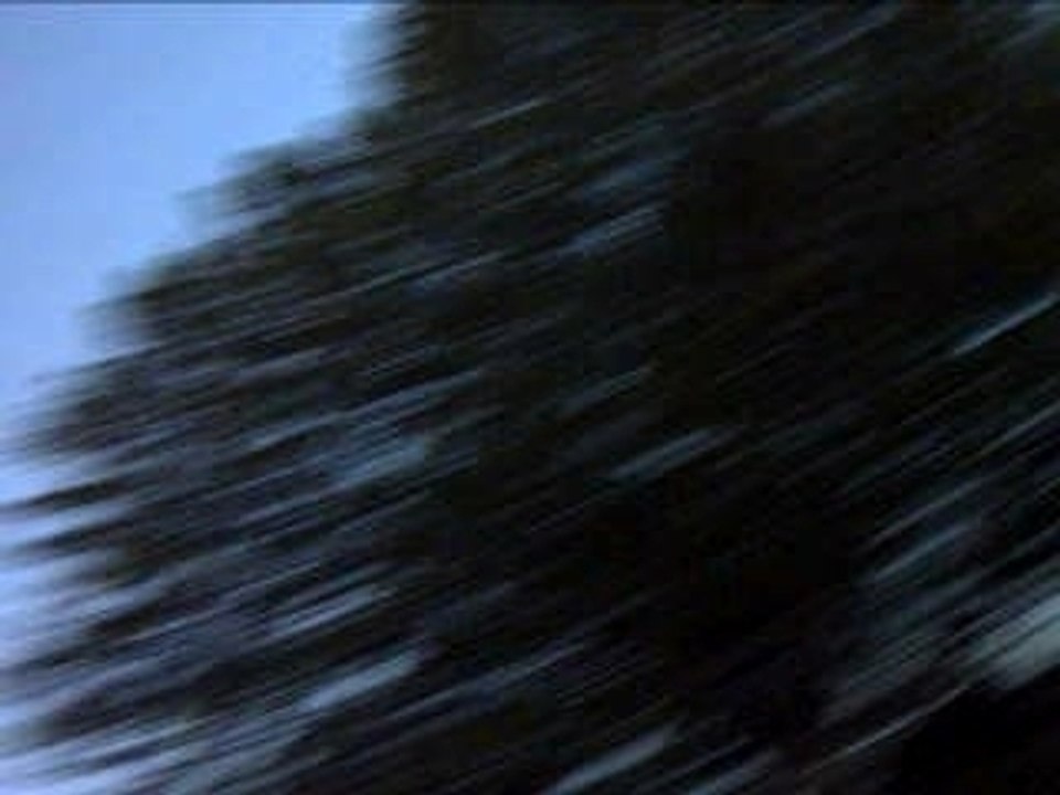 dub incorporation  neotl1024