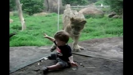 [+18 ~ Sexy Funny Girl]Lion Wants To Play With Baby