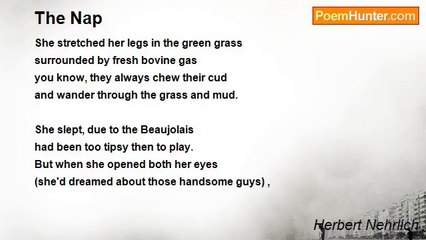 Herbert Nehrlich - The Nap